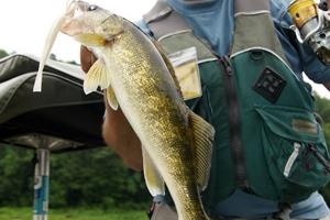 News & Tips: Fish River Tailouts for Warm Weather Walleyes...