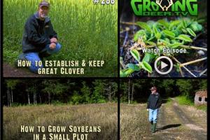 News & Tips: The Best Food Plot Strategies: Learning From Experience (video)...