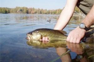 News & Tips: A Delicate Subject: The Art of Catch and Release...