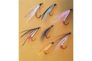News & Tips: Why You May Be Wrong About Bucktail Flies...