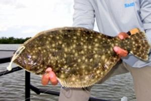 News & Tips: Sight Fishing with a Lure at Mosquito Lagoon...