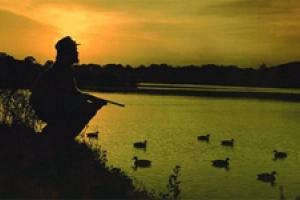 News & Tips: 8 Types of Confidence Decoys for Duck Hunting...