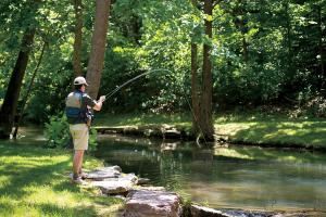 News & Tips: Using Bead Heads in Fly Fishing