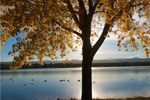 News & Tips: 8 Tips to Photograph the Vivid Colors of Fall...