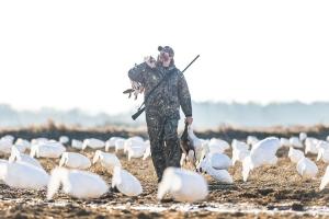 News & Tips: Snow Goose Hunting 101