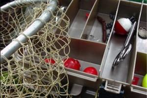 News & Tips: Expand Your Fishing Arsenal