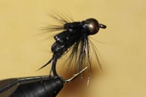 News & Tips: Early Season Fly Selection: Stoneflies...