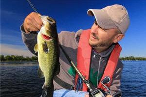 News & Tips: Fall Fishing Tactics for Largemouth Bass That Have Moved to Weedlines...