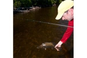 News & Tips: Sight Fishing Smallmouth Tips