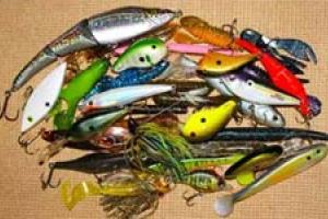 News & Tips: Fishing and the Color Game
