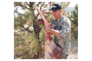 Fred Eichler Field Dressing a Deer