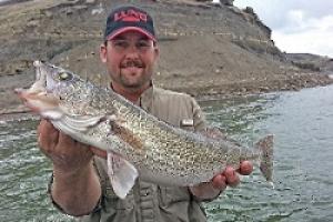 Cody Moxley with a nice shallow water Walleye by Cody Moxley with a nice shallow water Walleye...