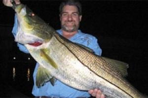 News & Tips: Bridge Fishing for Snook