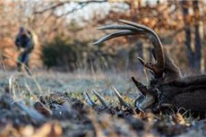News & Tips: Got the Deer Season Blues? Here’s 5 Tips to Help You Bag a Last Minute Buck...