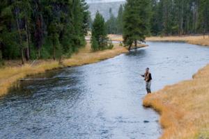 News & Tips: What to Look for in Fly Fishing Vests & Fishing Packs...