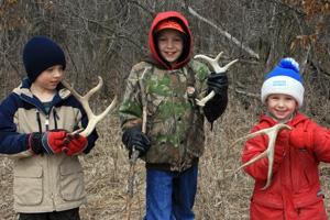 News & Tips: After Antlers: Shed Hunting Time