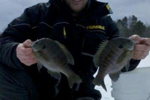 News & Tips: Wintertime Fishing Tips