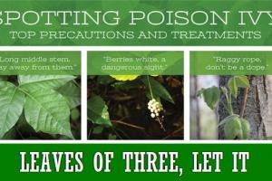 News & Tips: 12 Little Known Facts About Poison Ivy (infographic)...