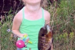 News & Tips: 5 Easy Ways to Make the Most of Summer Bluegill Fishing...