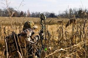 News & Tips: Countdown to Bow Season: Critique Last Year, Prepare for This Year...
