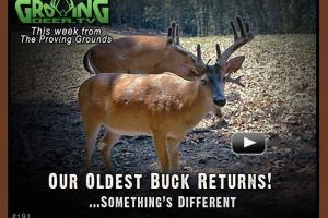 News & Tips: Our Oldest Buck Returns, a Prescribed Fire & Pond Tips...