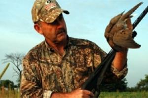 News & Tips: Dove Hunting Made Easier