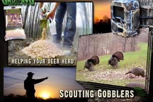 News & Tips: Turkey Hunting: How to Scout for Gobblers...