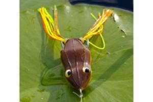 News & Tips: Frog Fishing Fundamentals