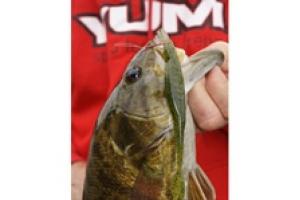 News & Tips: Nose Hook Your Fluke