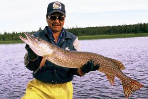 News & Tips: A Primer on Pike—Lures and Tactics for Catching Northern Pike...