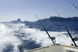 News & Tips: Keeping Saltwater Reels, Rods & Lures Clean...