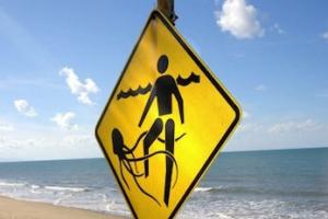 News & Tips: Headed to Salty Waters? Protect Yourself From Jellyfish Stings...