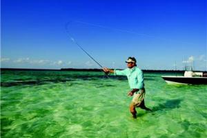 News & Tips: Loop Shapes for Fly Casting: Saltwater Fishing Tip...