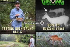 News & Tips: Choosing Deer Grunt Calls & Food Plot Mystery Solved (video)...