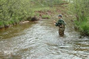 News & Tips: Pocket Water Trout Fishing