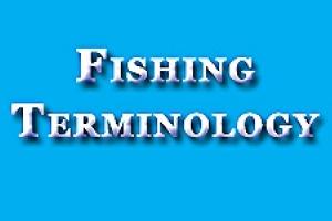News & Tips: Fishing Terminology, Fishing Words and Fishing Phrases