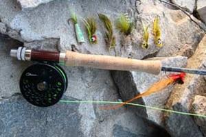 News & Tips: Topwater Fly Fishing for Bass