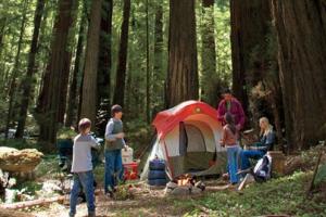 News & Tips: Tent Buying Tips