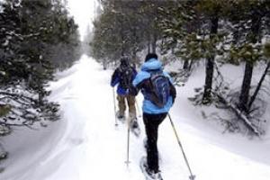 News & Tips: This Winter, Go Outside