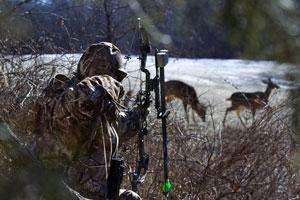 News & Tips: Tips for Low-Impact Deer Hunting: All About the Scent...