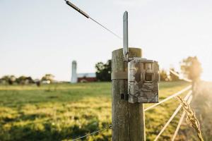 tactacam_trail_camera_mounted_on_pole