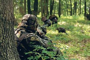 Turkey hunter sitting next to tree shooting at 3 turkeys
