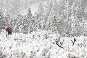 Hunter hunting in snow