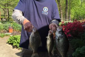 Braggin' Board Photo: Some sweet crappie fishing