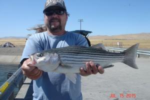 Braggin' Board Photo: Dave's Striper Bass