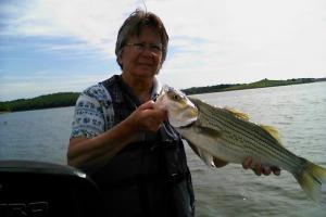 Braggin' Board Photo: Striper Fishing in a NITRO boat