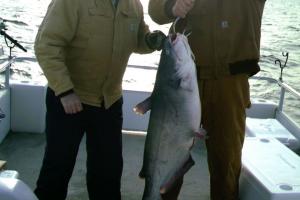 Braggin' Board Photo: 42 lb blue catfish