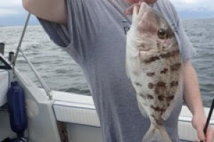 Braggin' Board Photo: Nice Little Porgy