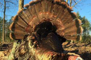 Braggin' Board Photo: 18 lb Turkey, John Klucky