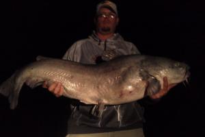 Braggin' Board Photo: 57lb blue Catfish